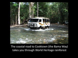 The coastal road to Cooktown (the Bama Way)
 takes you through World Heritage rainforest
 