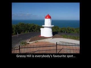 Grassy Hill is everybody’s favourite spot…
 