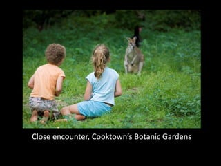 Close encounter, Cooktown’s Botanic Gardens
 