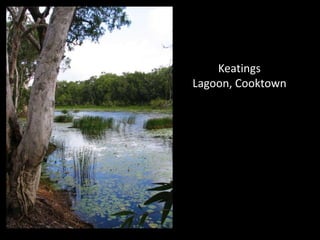 Keatings
Lagoon, Cooktown
 