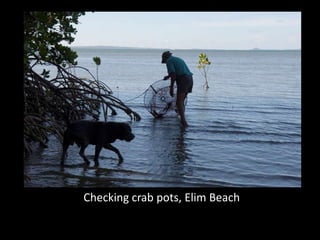 Checking crab pots, Elim Beach
 