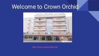 Welcome to Crown Orchid
http://www.crownorchid.com
 