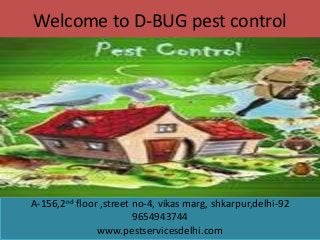 Welcome to D-BUG pest control

A-156,2nd floor ,street no-4, vikas marg, shkarpur,delhi-92
9654943744
www.pestservicesdelhi.com

 
