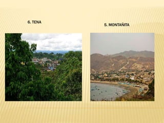 6. TENA
5. MONTAÑITA
 