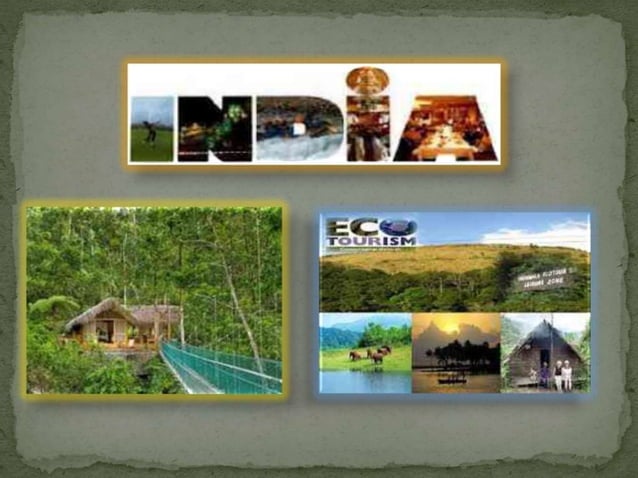 eco tourism evs project pdf
