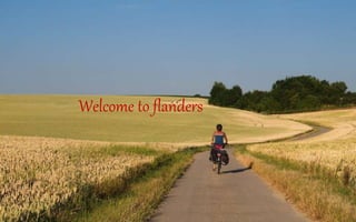 Welcome to flanders
 