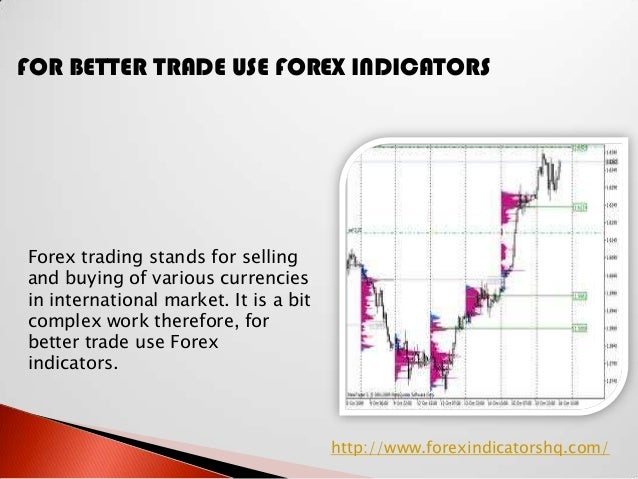 Diverse knowledge forex