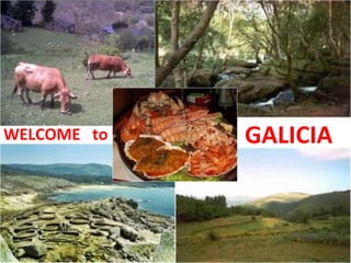 WELCOME  to GALICIA 
