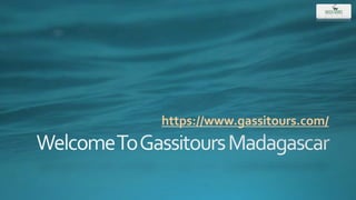 https://www.gassitours.com/