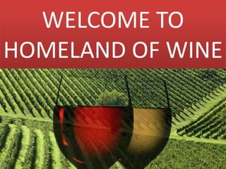 WELCOME TO HOMELAND OF WINE 