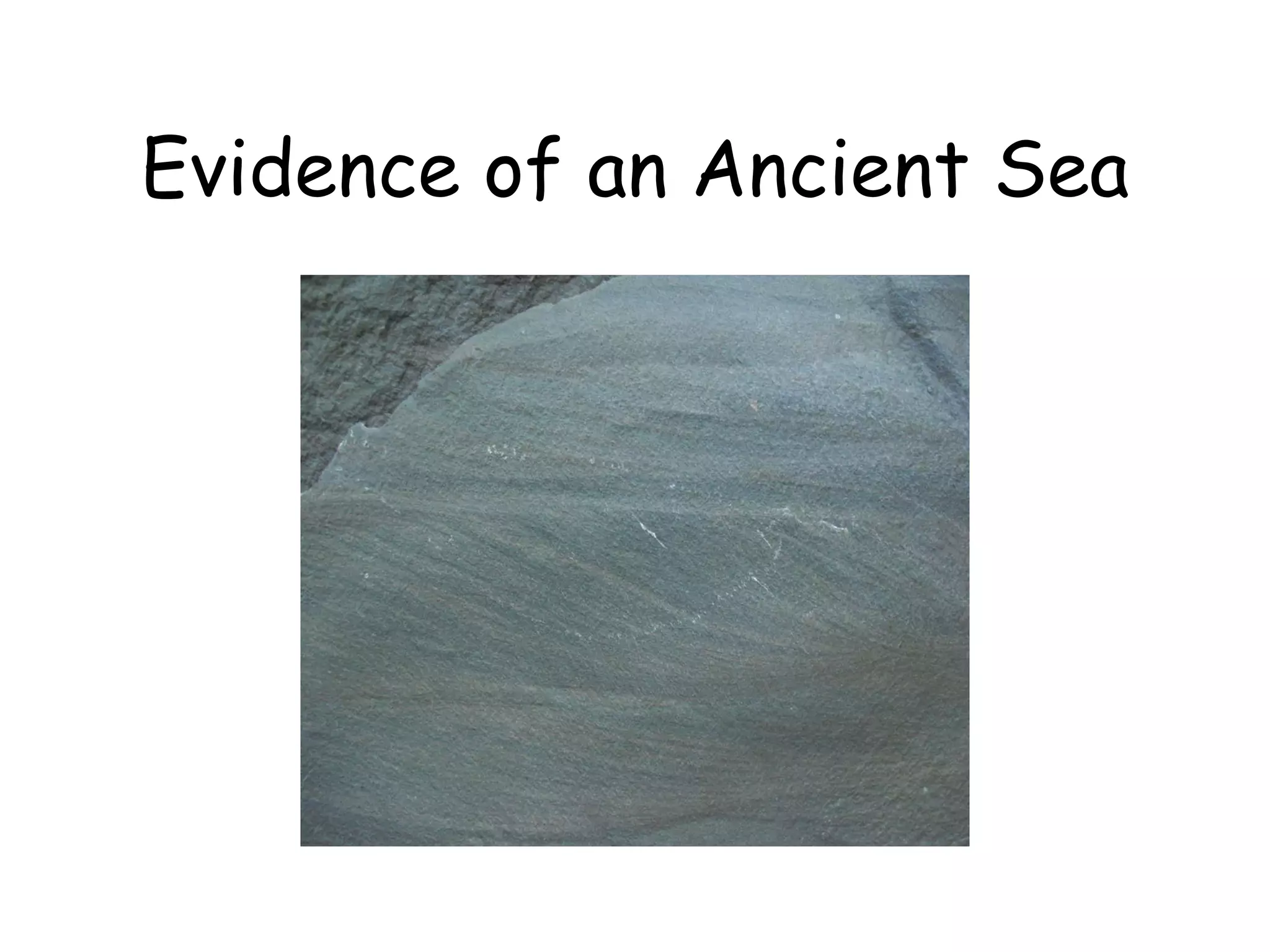 Evidence of an Ancient Sea 
