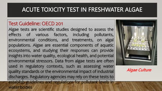 ACUTE TOXICITY TEST IN FRESHWATER ALGAE
Test Guideline: OECD 201
Algae tests are scientific studies designed to assess the
effects of various factors, including pollutants,
environmental conditions, and treatments, on algal
populations. Algae are essential components of aquatic
ecosystems, and studying their responses can provide
insights into water quality, ecological health, and potential
environmental stressors. Data from algae tests are often
used in regulatory contexts, such as assessing water
quality standards or the environmental impact of industrial
discharges. Regulatory agencies may rely on these tests to
establish guidelines and regulations for pollutant levels in
water bodies
Algae Culture
 