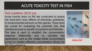 ACUTE TOXICITY TEST IN FISH
Test Guideline: OECD 203
Acute toxicity tests on fish are conducted to assess
the short-term toxic effects of chemicals, pollutants,
or environmental stressors on fish species. These tests
are crucial for evaluating the potential risks that
substances pose to aquatic ecosystems and fisheries.
The data is used to establish the concentration-
response relationship and to calculate key
parameters, such as the median lethal concentration
(LC50) or median effective concentration (EC50) for
the test substance.
Zebra fish
 