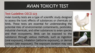 AVIAN TOXICITY TEST
Test Guideline: OECD 223
Avian toxicity tests are a type of scientific study designed
to assess the toxic effects of substances or chemicals on
birds. These tests are essential for understanding the
potential risks of environmental contaminants, pesticides,
industrial chemicals, and other substances to avian species
and their ecosystems. Birds can be exposed to the
substance through various methods, such as ingestion
(oral exposure), inhalation (airborne exposure), or dermal
contact (skin exposure). The exposure duration may vary
from acute (short-term) to chronic (long-term) exposure.
 