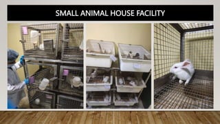 SMALL ANIMAL HOUSE FACILITY
 