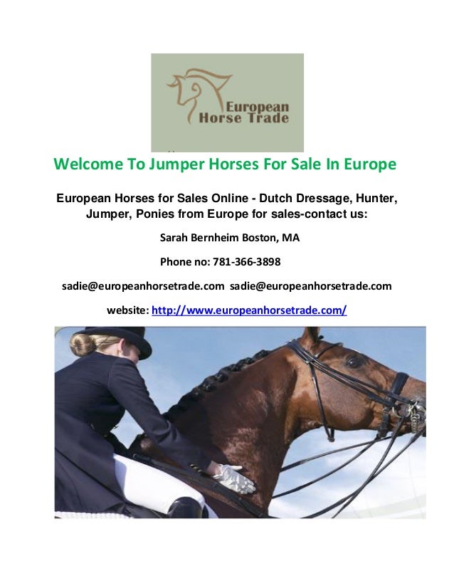 Jumper horses for sale in europe