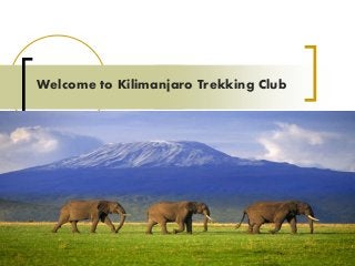 Welcome to Kilimanjaro Trekking Club
 