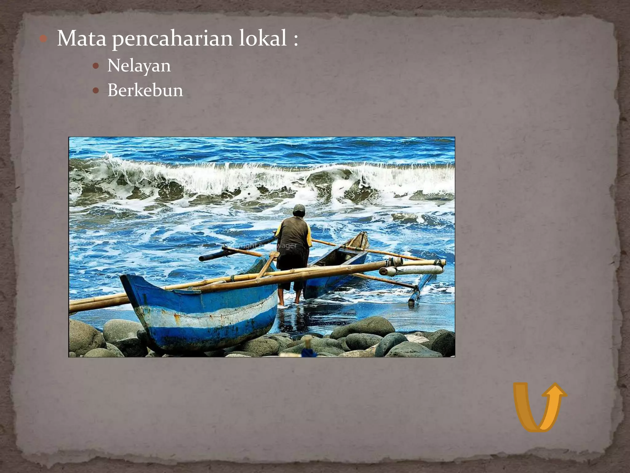  Mata pencaharian lokal :
     Nelayan
     Berkebun
 