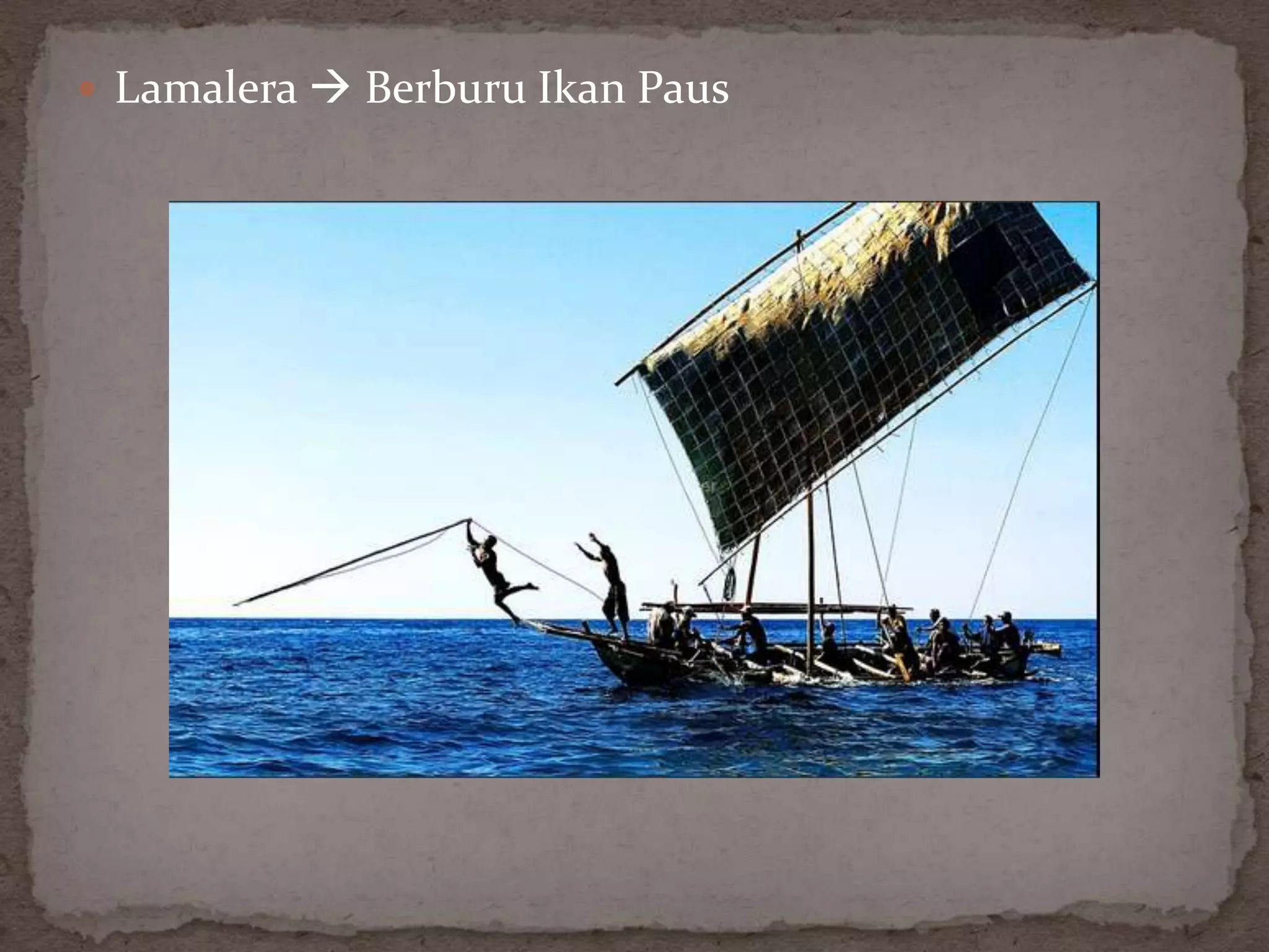  Lamalera  Berburu Ikan Paus
 