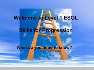 Welcome to Level 1 ESOL Skills for Progression What do you need to know? 
