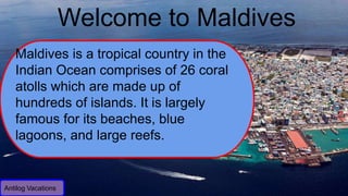 Welcome to Maldives
Antilog Vacations
Maldives is a tropical country in the
Indian Ocean comprises of 26 coral
atolls which are made up of
hundreds of islands. It is largely
famous for its beaches, blue
lagoons, and large reefs.
 