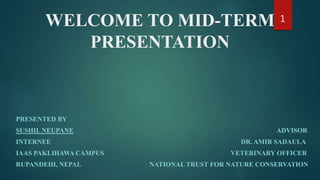 WELCOME TO MID-TERM
PRESENTATION
PRESENTED BY
SUSHIL NEUPANE ADVISOR
INTERNEE DR. AMIR SADAULA
IAAS PAKLIHAWA CAMPUS VETERINARY OFFICER
RUPANDEHI, NEPAL NATIONAL TRUST FOR NATURE CONSERVATION
1
 