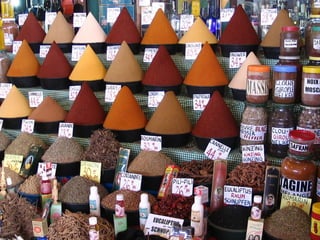 Welcome to morocco
