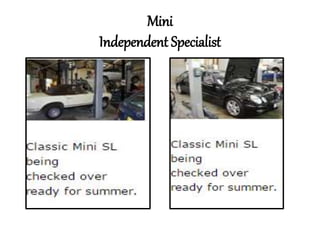 Mini
Independent Specialist
 