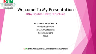 Welcome To My Presentation
DNA Double Helix Structure
MD. ASMAUL HAQUE MOLLIK
Faculty of Agriculture
REG:AGRW2015000125
Term: Winter 2016
EBAUB
EXIM BANK AGRICULTURAL UNIVERSITY BANGLADESH
 