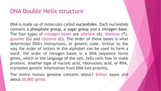 DNA Double Helix Structure | PPTX