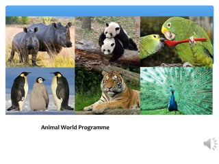 Animal World Programme
 