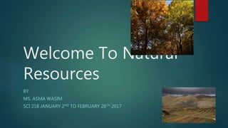 Welcome To Natural
Resources
BY
MS. ASMA WASIM
SCI 218 JANUARY 2ND TO FEBRUARY 28TH 2017
 