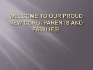 WELCOME TO OUR PROUD  NEW CORGI PARENTS AND FAMILIES!  