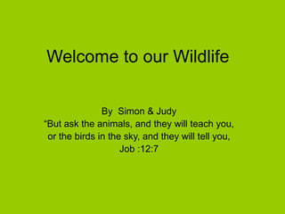 Welcome to our Wildlife
By Simon & Judy
“But ask the animals, and they will teach you,
or the birds in the sky, and they will tell you,
Job :12:7
 