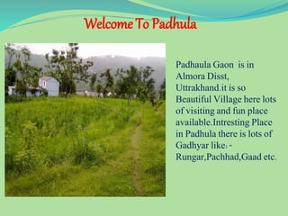 Welcome To Padhula
Padhaula Gaon is in
Almora Disst,
Uttrakhand.it is so
Beautiful Village here lots
of visiting and fun place
available.Intresting Place
in Padhula there is lots of
Gadhyar like:-
Rungar,Pachhad,Gaad etc.
 