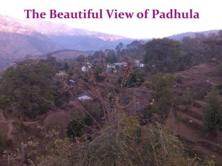 The Beautiful View of Padhula
 