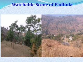 Watchable Scene of Padhula
 