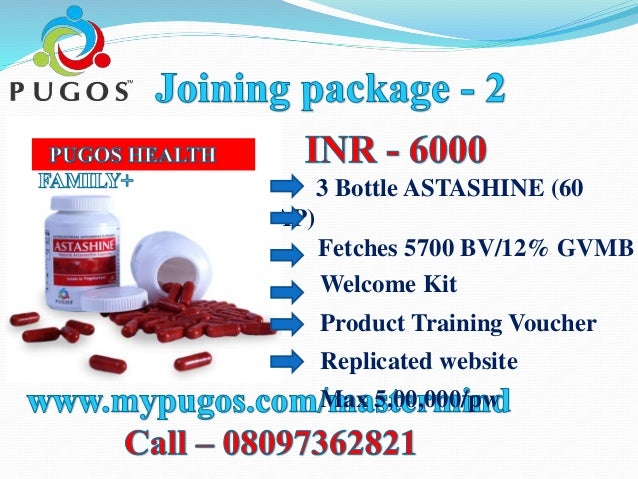 Pugos business plan 08 picture