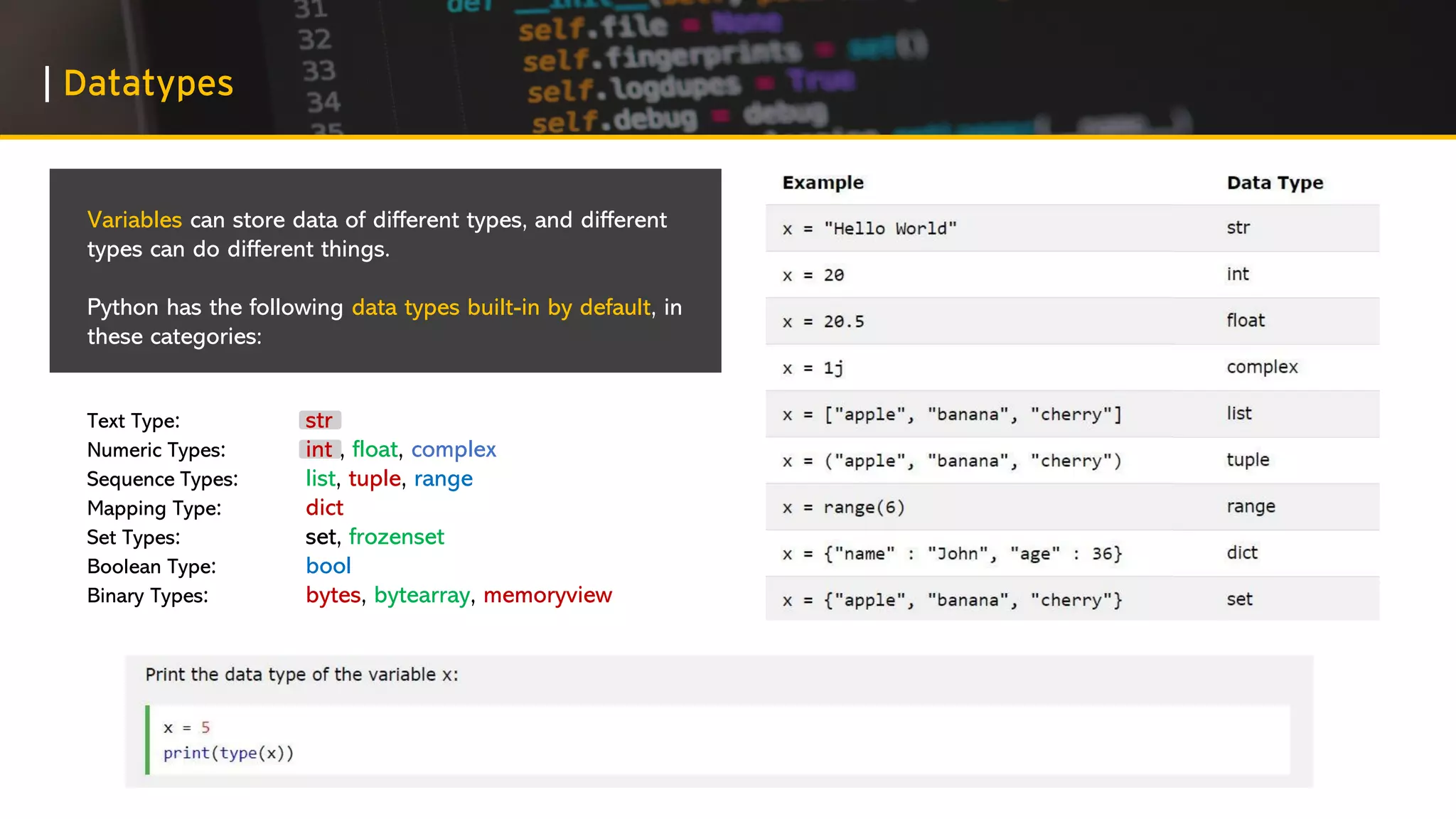 First Steps in Python Programming | PPT