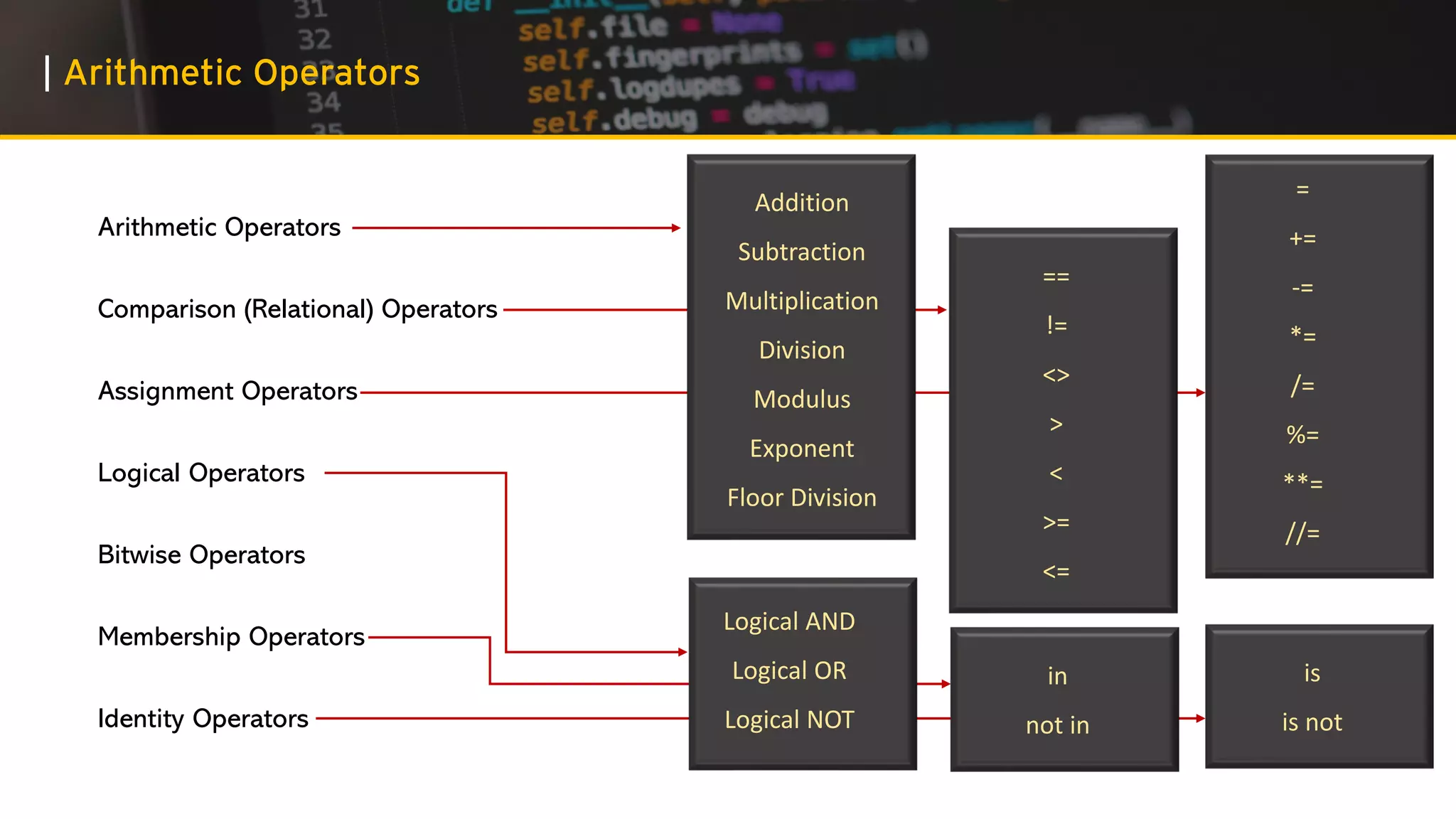 First Steps in Python Programming | PPT