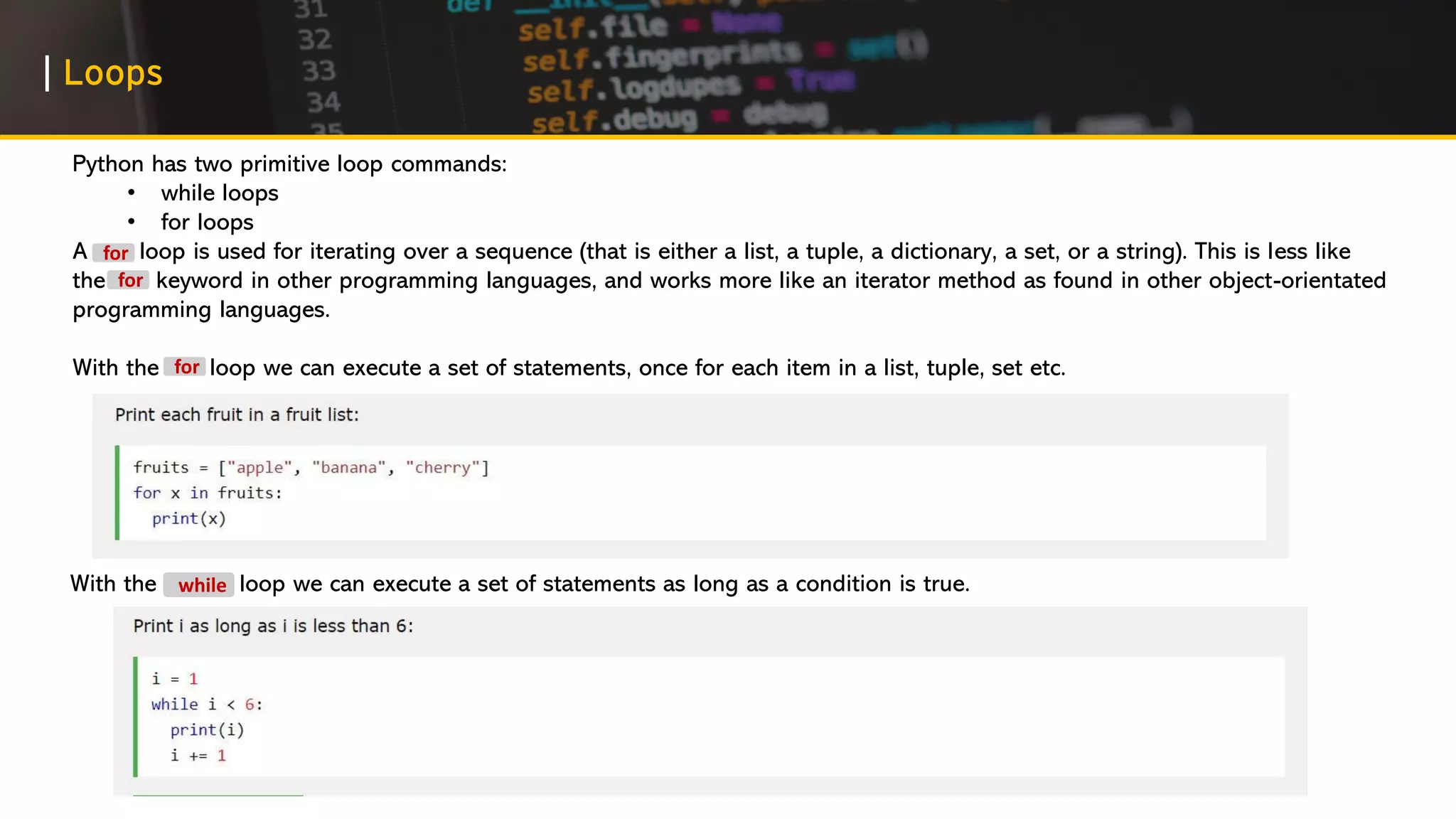 First Steps in Python Programming | PPT