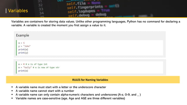 First Steps in Python Programming | PPT