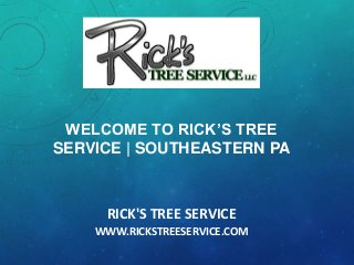 RICK'S TREE SERVICE
WWW.RICKSTREESERVICE.COM
WELCOME TO RICK’S TREE
SERVICE | SOUTHEASTERN PA
 