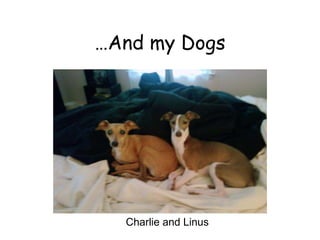 … And my Dogs Charlie and Linus 