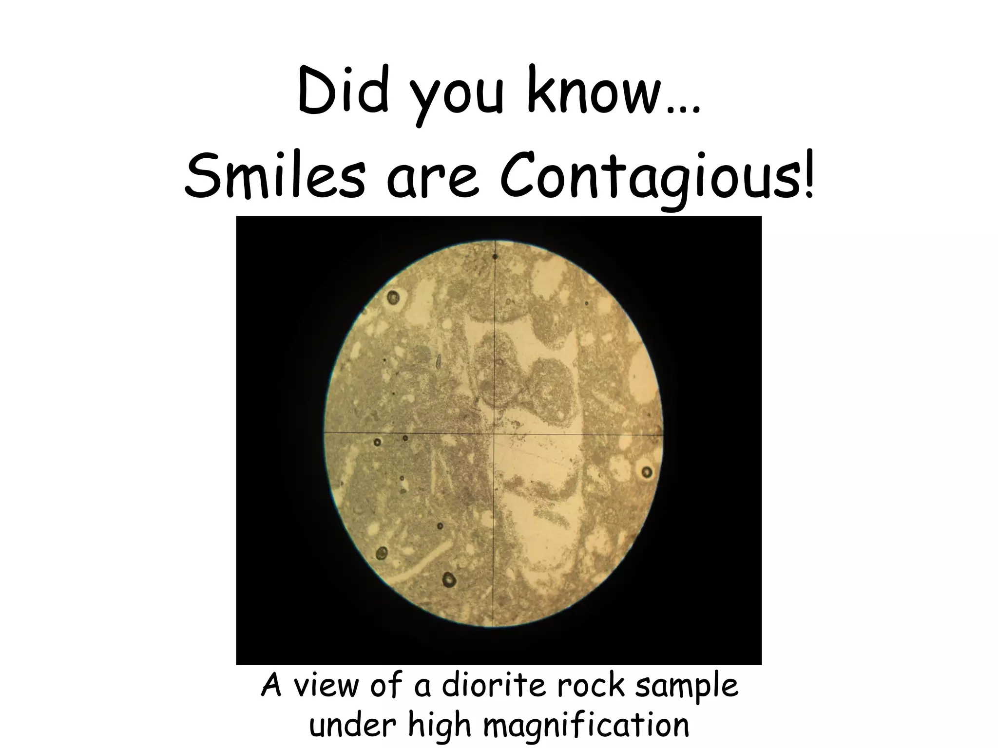 Did you know… Smiles are Contagious! A view of a diorite rock sample under high magnification 