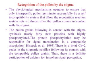 Recognition of the pollen by the stigma
• The physiological mechanisms operates to ensure that
only intraspecific pollen germinate successfully by a self
incompatibility system that allow the recognition reaction
system sets in almost after the pollen comes in contact
with the stigma.
• The pollen grains following in contact with the stigma
synthesis nearly forty new proteins with highly
phosphorylated.The protein phosphorylation may be
responsible for signal transduction in a compatible
association( Hiscock et al, 1995).There is a brief Ca+2
peaks in the stigmatic papillae following its contact with
the compatible pollen grains. Thus, there is a definite
participation of calcium ion in pollen signal perception.
 