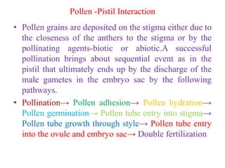 Pollen -Pistil Interaction
• Pollen grains are deposited on the stigma either due to
the closeness of the anthers to the stigma or by the
pollinating agents-biotic or abiotic.A successful
pollination brings about sequential event as in the
pistil that ultimately ends up by the discharge of the
male gametes in the embryo sac by the following
pathways.
• Pollination→ Pollen adhesion→ Pollen hydration→
Pollen germination→ Pollen tube entry into stigma→
Pollen tube growth through style→ Pollen tube entry
into the ovule and embryo sac→ Double fertilization
 