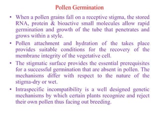 Pollen Germination
• When a pollen grains fall on a receptive stigma, the stored
RNA, protein & bioactive small molecules allow rapid
germination and growth of the tube that penetrates and
grows within a style.
• Pollen attachment and hydration of the takes place
provides suitable conditions for the recovery of the
membrane integrity of the vegetative cell.
• The stigmatic surface provides the essential prerequisites
for a successful germination that are absent in pollen. The
mechanisms differ with respect to the nature of the
stigma-dry or wet.
• Intraspecific incompatibility is a well designed genetic
mechanisms by which certain plants recognize and reject
their own pollen thus facing out breeding.
 
