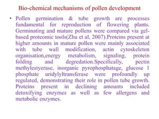 Bio-chemical mechanisms of pollen development
• Pollen germination & tube growth are processes
fundamental for reproduction of flowering plants.
Germinating and mature pollens were compared via gel-
based proteomic tools(Zhu et al, 2007).Proteins present at
higher amounts in mature pollen were mainly associated
with tube wall modification, actin cytoskeleton
organisation,energy metabolism, signaling, protein
folding and degredation.Specifically, pectin
methylestyerase, inorganic pyrophosphatage, glucose 1
phosphate uridylyltransferase were profoundly up
regulated, demonstrating their role in pollen tube growth.
Proteins present in declining amounts included
detoxifying enzymes as well as few allergens and
metabolic enzymes.
 