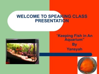 WELCOME TO SPEAKING CLASS PRESENTATION “ Keeping Fish in An Aquarium” By Yansyah 